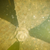 An underwater before service photo of a propeller with biological growth.